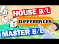 What is House B/L and Master B/L? Explained these B/L advantage and disadvantage in Global Logistics