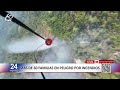 Incendios forestales afectan bosques y cultivos en San Martín y Junín