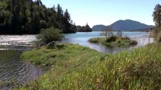 Harrison Salmon Stronghold Slough Restoration 2014