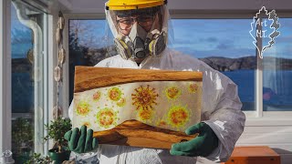 COVID-19, 7th day of quarantine