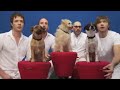 OK Go - OK Go - White Knuckles