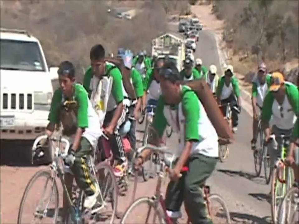 ciruelos guapotzingo