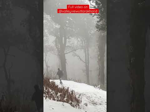 Nainital snowfall l Today snowfall Nainital l Nainital snowfall 2023 l first snowfall Nainital
