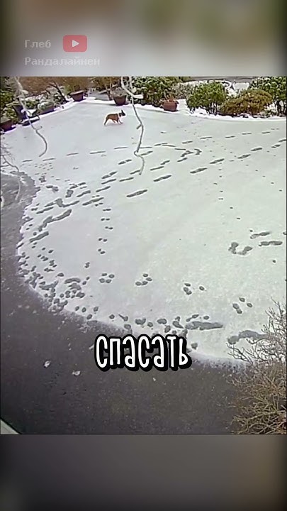 Семейная Комедия 😂 - YouTube