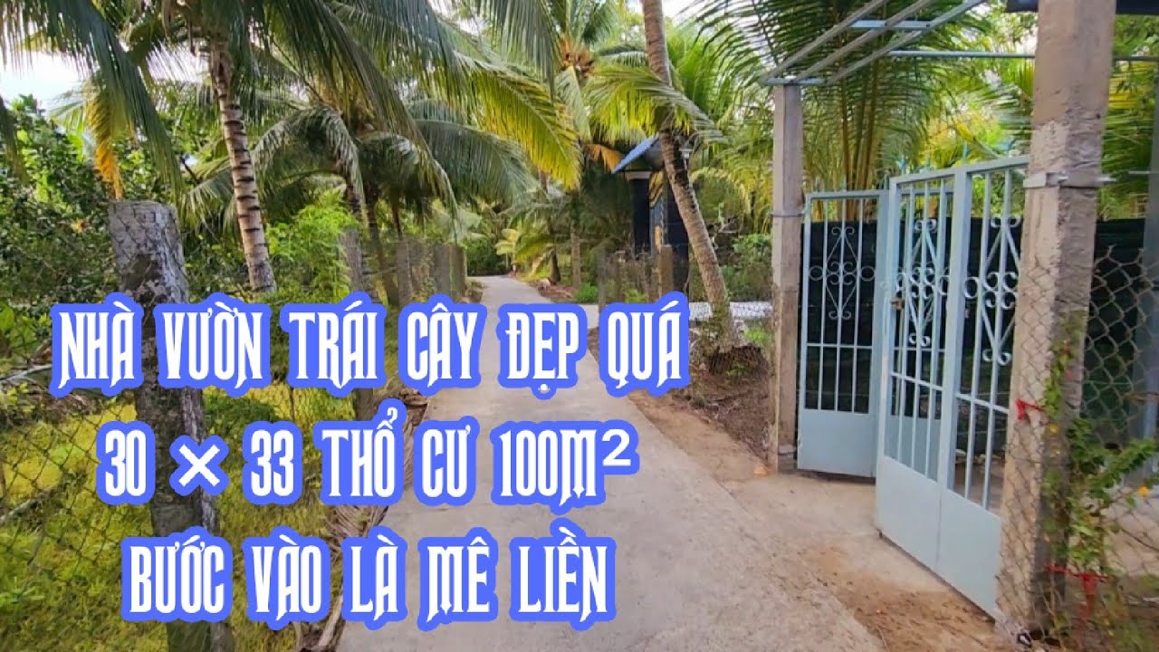 Tập 3458 : Bán nhà vườn nghĩ dưỡng cây ăn trái đủ loại 30×33 thổ cư 100m² đẹp tuyệt bước vào là mê