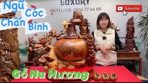 Ngũ Cóc Chấn Bình Tiền Vàng vẻ đẹp thẩm mỹ và những ý nghĩa trong phong thuỷ | Tượng Gỗ Đẹp