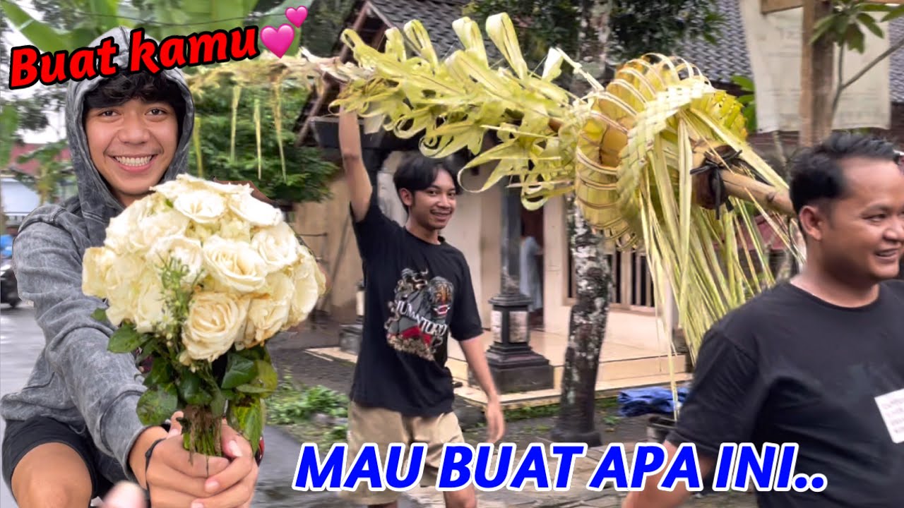 ADA AJA KELAKUAN BOY DAN NEMO.. || Sisa pernikahan Mawut