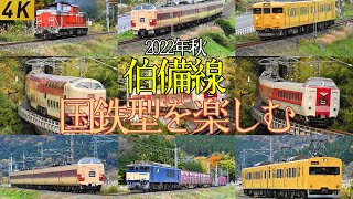 【4K】JR西日本 伯備線で秋の国鉄型電車を楽しむ！