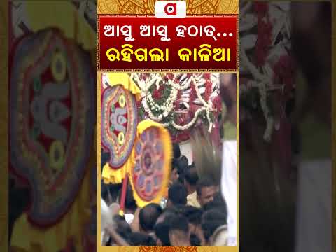 ଆସୁ ଆସୁ ହଠାତ୍... ରହିଗଲା କାଳିଆ | Argus Reels | Lord Jagannatha | Snana Yatra | Puri | Pahandi Bije