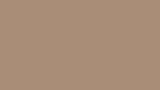 Soft Rosy Brown | 1 Hour Solid Color Screen screenshot 5