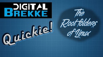 The Root Folder Structure of the Linux Filesystem