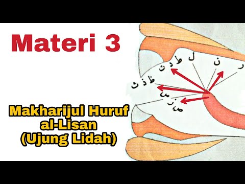 Pangkal Lidah