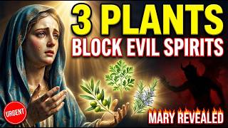 🚨 The 3 PLANTS the Virgin Mary Said BLOCK Evil Spirits (94% of Catholics Don't Have Them)