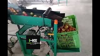 Hi Tech Automatic Crate Filler Apple Grading Machine