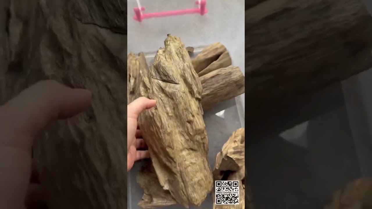 Exploring the incredible beauty of Vietnamese Agarwood 🪵. From its unique texture to its deep, soul