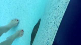 Bubble Rings September 13 2016