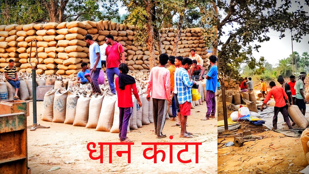 ￼ धान मंडी में धान कांटा करना || dhaan Mandi mein dhan Kanta karna #blogvideo #bhopalpatnam