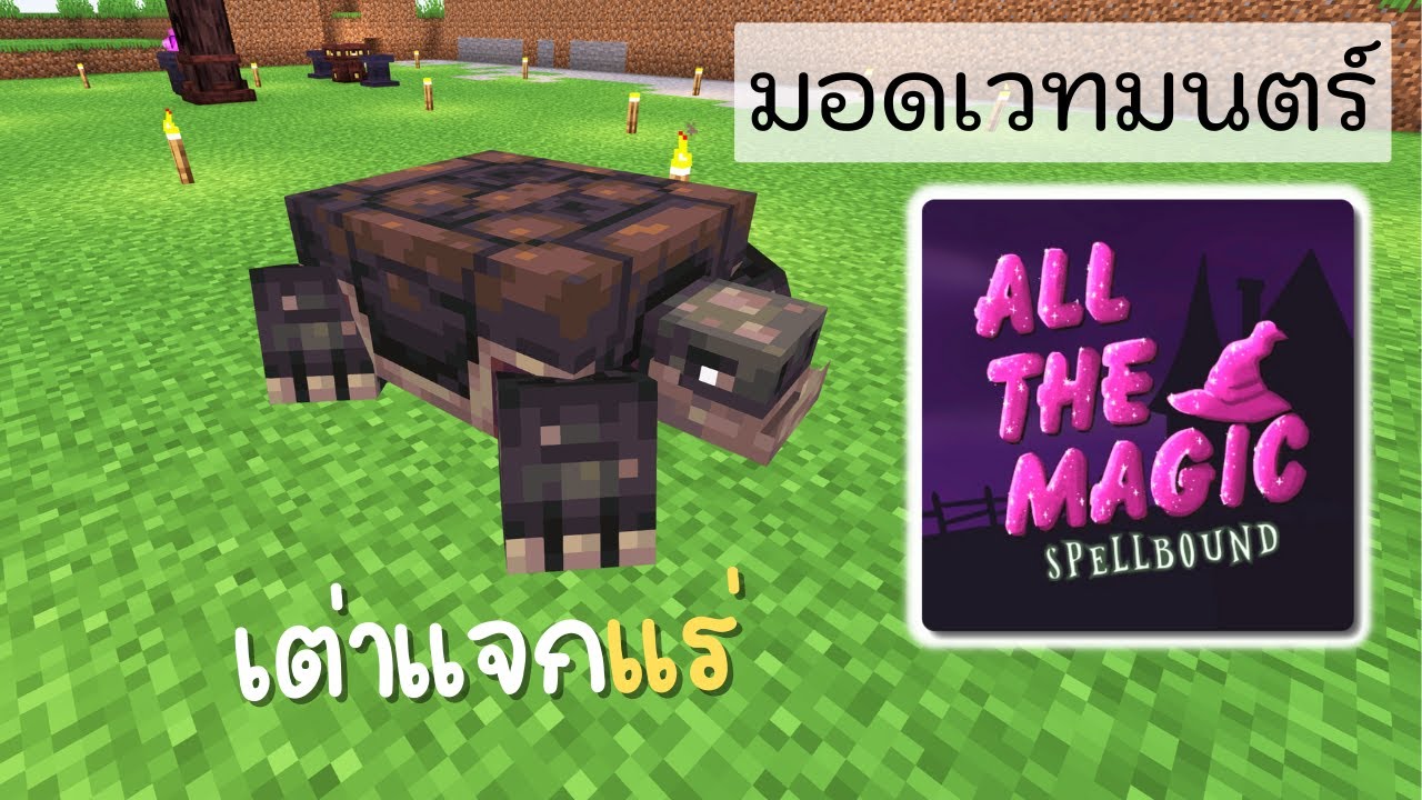 ตอนที่ 20 ฟาร์มเเร่อัตโนมัติ(เเร่เท่านั้น)–มายคราฟเวทมนตร์ | All the ...