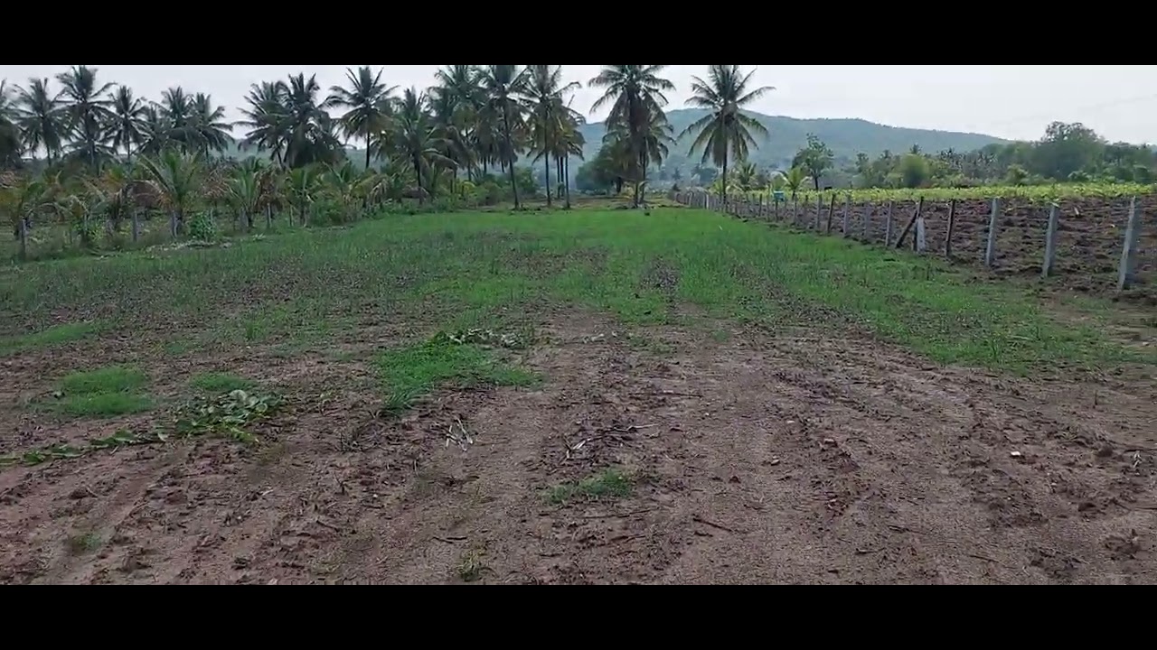 1 Acre tar road attached east facing property sale near mysore