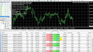 Robot Forex Professional -  very profitable expert - 1000 $ per hour