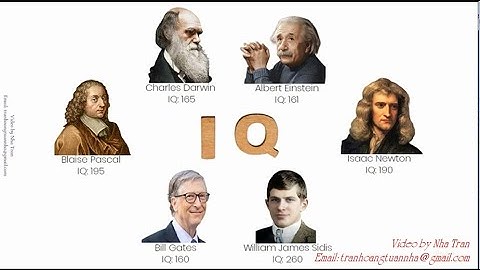 Người bình thường IQ bao nhiêu?