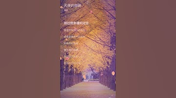 《天使的翅膀》落叶随风将要去何方#音乐
