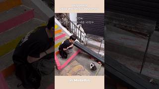 아기토끼 유정이의 ‘Medellín’ 여행기✈️  라이온에게만 공개할게🐰 | #OnlyOneOf #shorts