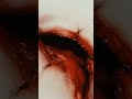 Nox Resonantia - Sanctum of the Scar #metal #deathmetal #gothic #metalmusic #metalcore #metalhead