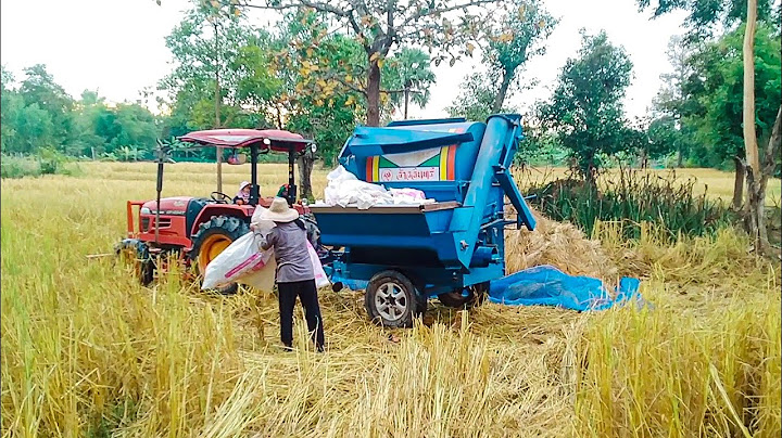 YANMAR พวงเครื่องปั่นข้าว!!! จิ๋วแต่แจ๋ว ปั่นข้าว#รถปั่นข้าว#ปั่นข้าว