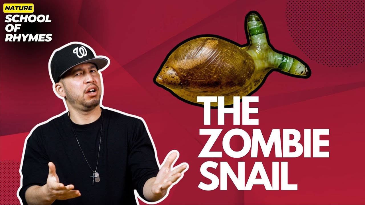 The Zombie Snail - School of Rhymes
