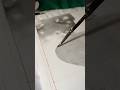 Todo lleva un proceso #viral