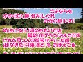 伝えたくて/浅田あつこ カラオケ (♯3)