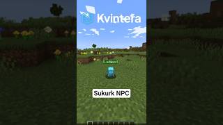 Kaip pridėti NPC į Minecraft serverį (FancyNPCs) #minecraft #fancynpcs  #lietuviskai