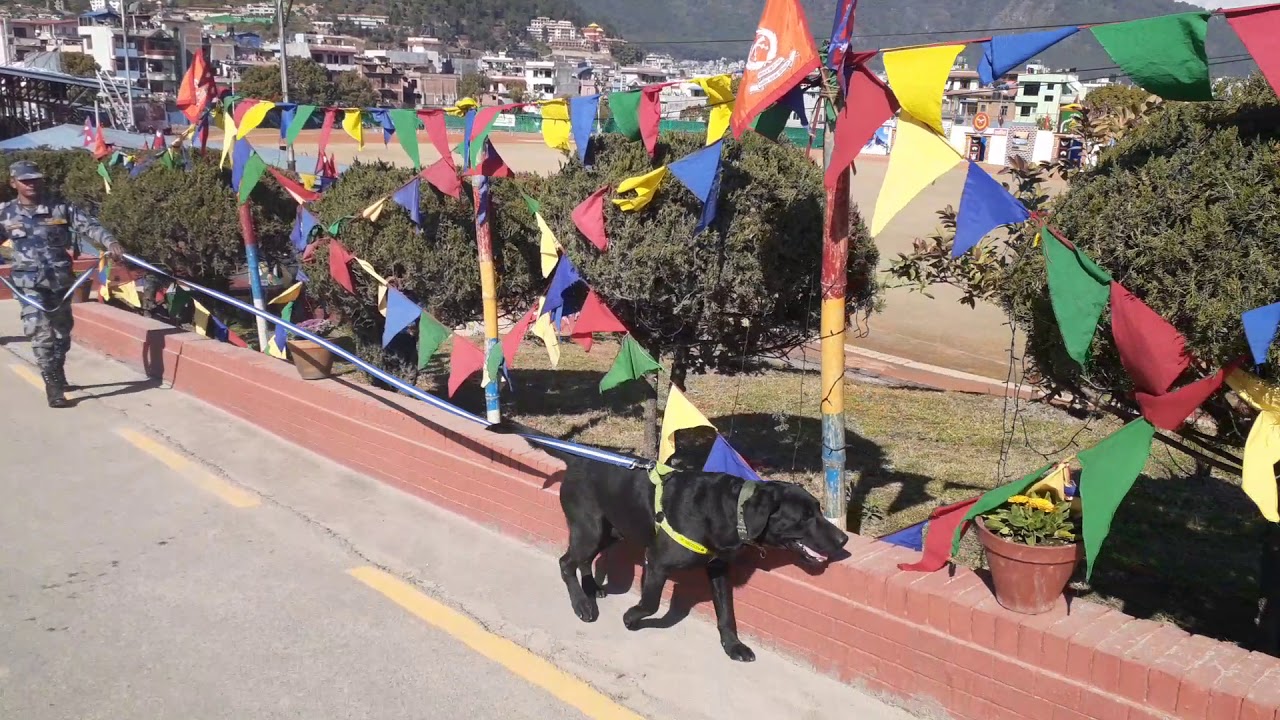 19TH APF DAY.(2) - YouTube