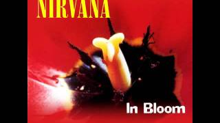 Nirvana - In Bloom (CRAIG COLEMAN Remix)