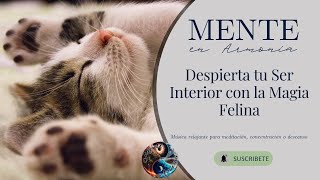 Danza Felina Despierta tu Ser Interior con la Magia de los Gatos (4K)