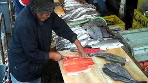 Chile: Valdivia - International Living