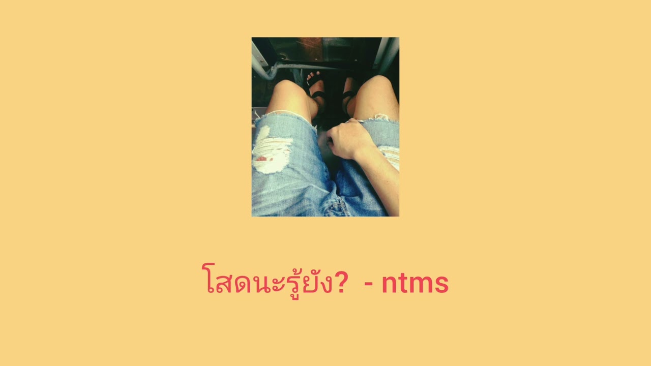 โสดนะรู้ยัง  -  ntms
