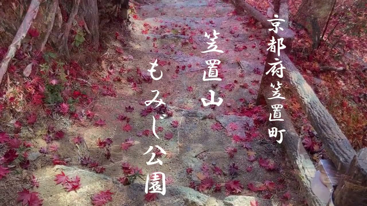 笠置山もみじ公園 京都府笠置町 の鮮やかな紅葉を撮影 Youtube