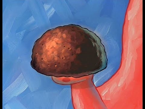 Patrick's pet rock