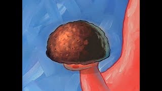 Patrick's pet rock