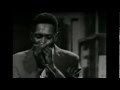 Big Walter Horton ~ ''Tin Pan Alley'' & ''Skip It'' 1977