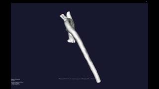 Centerline Generation Tutorial