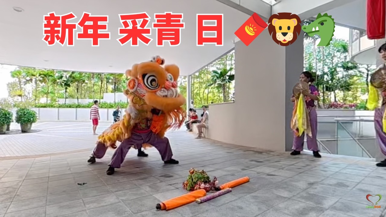 新年 采青日 🧧🦁🐲  plucking green day | 舞狮采青 | 新洋体育会 | #Shinykoh vlog | Singapore 新加坡