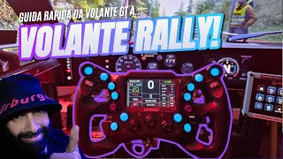 Don't use Assetto Corsa Rally without THESE settings for your GT wheel! screenshot 4
