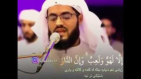 قرآن كريم بصوت رعد محمد الكردي حالات واتس اب دينيه