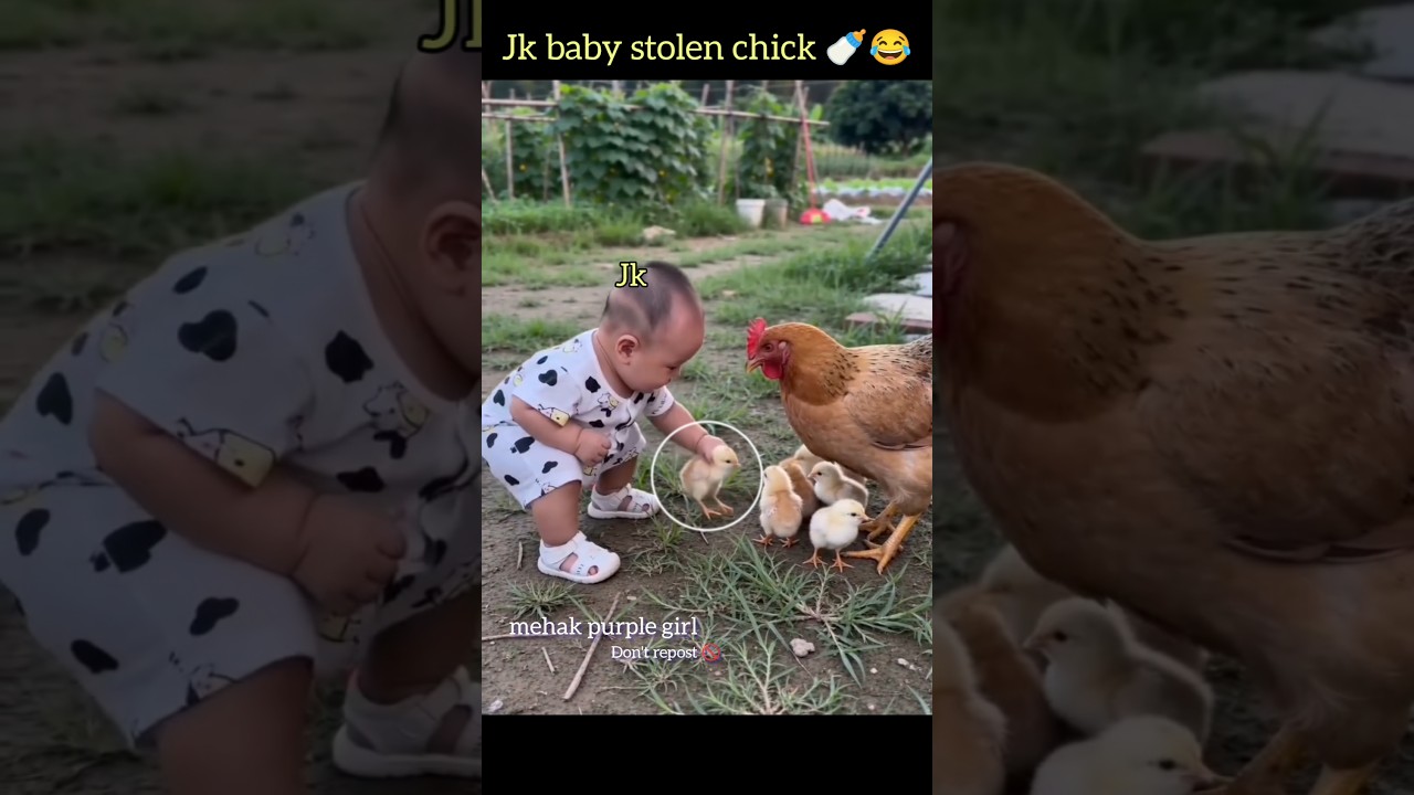 Jk baby stolen chick🍼😂#bts #shorts