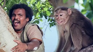 Download Lagu ರಘುರಾಮನನ್ನು ಕೊಲ್ಲಲು ನೋಡಿದ ಕೇಡಿಯನ್ನು ಮುಗಿಸಿದ ಕೋತಿ | Maruthi Mahime Kannada Movie Super Scene MP3