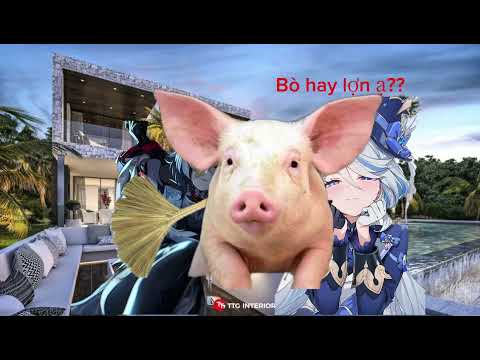 Video animation đầu tiên
