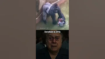 Harambe 